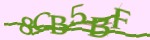 Mã bảo mật