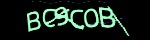 Mã bảo mật