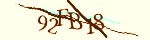 Mã bảo mật