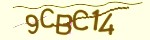 Mã bảo mật