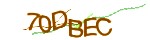 Mã bảo mật